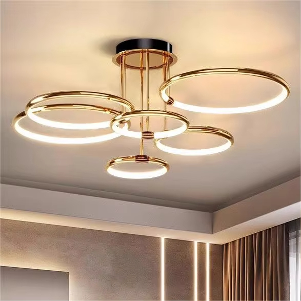 Modern Circle Ring LED Ceiling Light Surface Mounted Living Room light