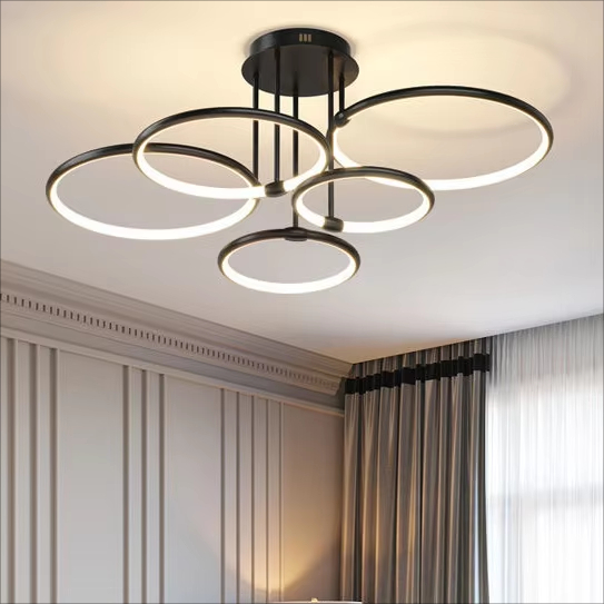 Modern Circle Ring LED Ceiling Light Surface Mounted Living Room light