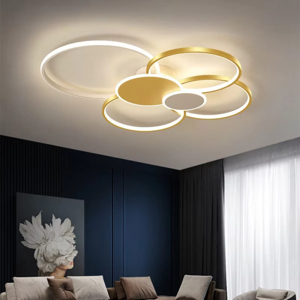 Modern LED Chandeliers Light For Bedroom Dining Living Room
