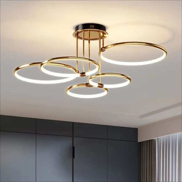 Modern Circle Ring LED Ceiling Light Surface Mounted Living Room light