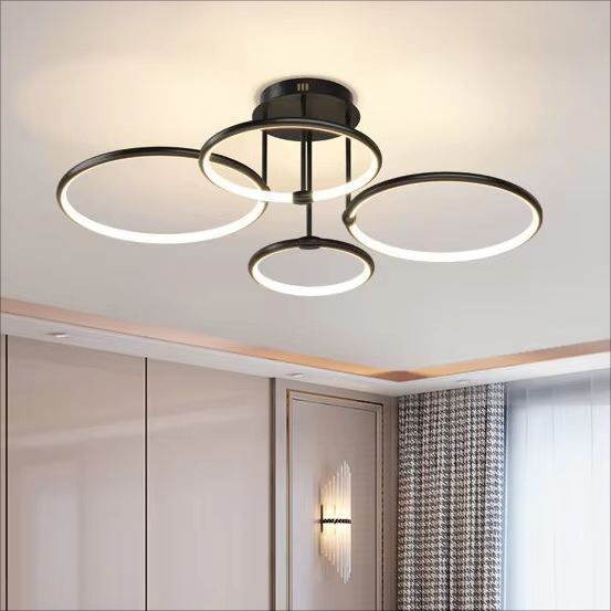 Modern Circle Ring LED Ceiling Light Surface Mounted Living Room light